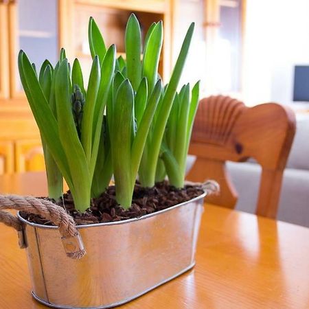 Apartamento Los Narcisos Chulilla Extérieur photo
